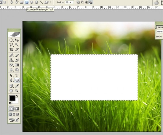 Glossy Grass Login Panel